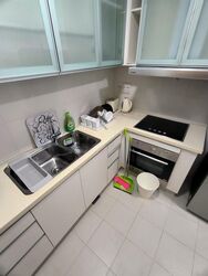One Oxley Rise (D9), Apartment #522850801